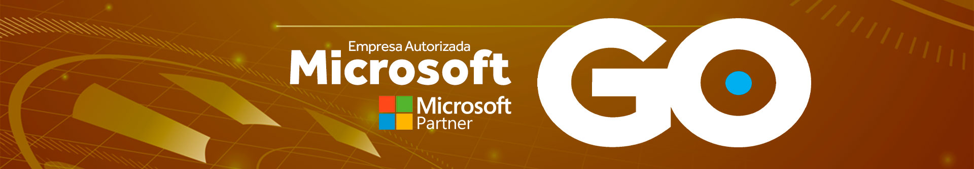 Banner_Site_GoEasy_Microsoft_Partner_v2